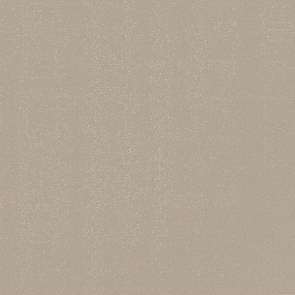 Image de SERV. DUNISOFT 40X40 GREGE CARTON DE 720