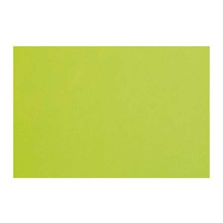 Image de SET DE TABLE 30X40 SPUNBOND LIME COLIS 4X200