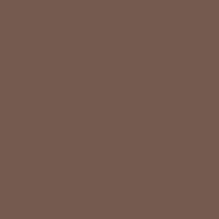Image de SERV 33X33 2P NOISETTE COLIS DE 2000