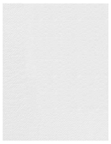 Image de SERV. 30X39 2F. BLANC C.2400