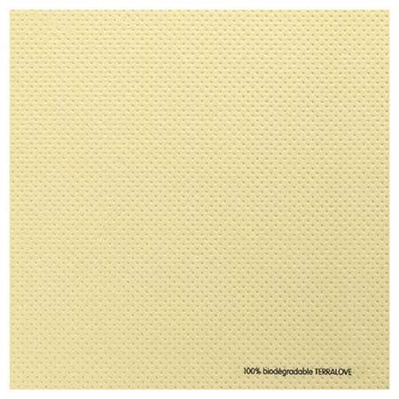 Image de SERV 40X40 TERRALOV SABLE COLIS DE 640