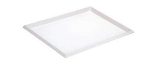 Image de PLATEAU PULPE DE CANNE BLANC 27.2 X 18.5 X 1.5CM - COLIS 200