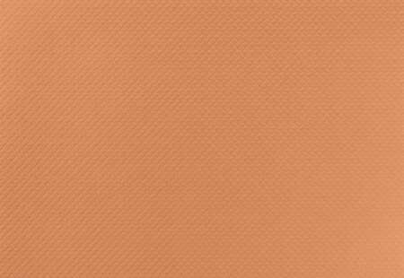 Image de NAPPE PAPIER BRUN 30X40 BD PECHE - COLIS DE 500