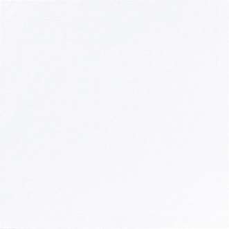 Image de SERVIETTE DUNILIN 48X48CM BLANC - COLIS DE 216