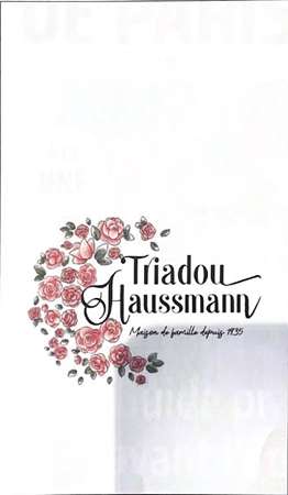 Image de SERV 40X40 3 PLIS BLANCHE 1/8 TRIADOU HAUSSMANN - COLIS 1250