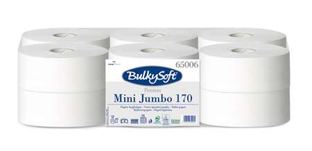 Image de PH MINI JUMBO 2P PURE OUATE LISSE ECOLABEL X12