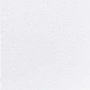 Image de SERV DUNILIN 40X40 BLANCHE CART. 540