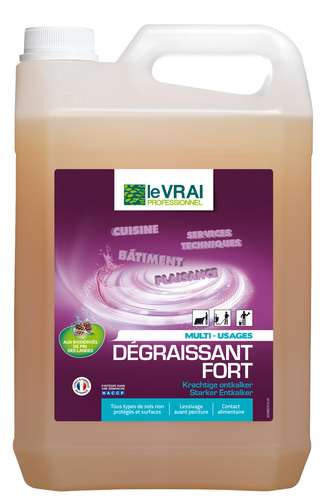 Image de VRAI DEGRAISSANT FORT BID. 5 LITRES