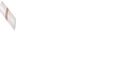 Image de SAC 160 LT BD TRANSPARENT C. 100